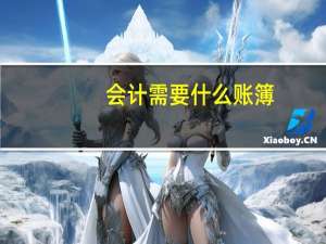 会计需要什么账簿