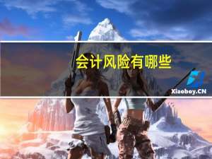 会计风险有哪些