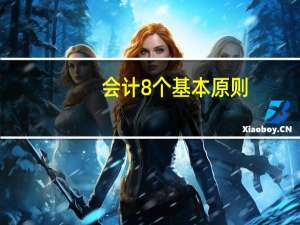会计8个基本原则（会计原则8个）