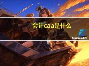 会计caa是什么