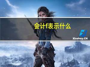 会计f表示什么