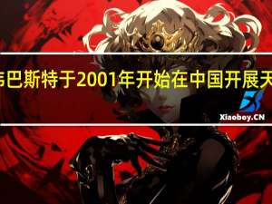 伟巴斯特于2001年开始在中国开展天窗业务