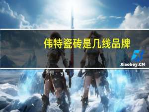 伟特瓷砖是几线品牌