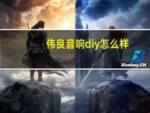 伟良音响diy怎么样