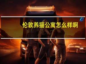 伦敦养猫公寓怎么样啊