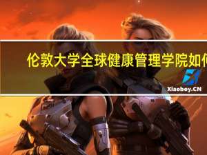 伦敦大学全球健康管理学院如何