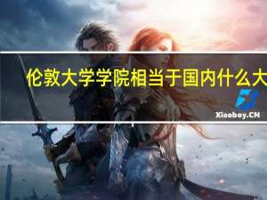 伦敦大学学院相当于国内什么大学