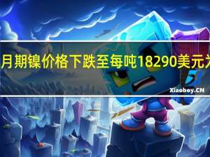 伦敦金属交易所（LME）三个月期镍价格下跌至每吨18290美元为2022年7月以来最低水平