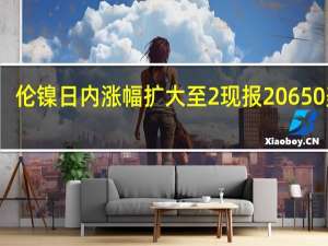 伦镍日内涨幅扩大至2%现报20650美元/吨