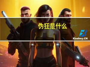 伪狂是什么（伪法狂徒简介）