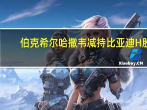 伯克希尔哈撒韦减持比亚迪H股