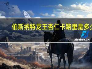 伯斯纳特 龙王杏仁卡路里是多少