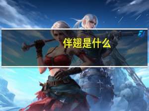 伴翅是什么