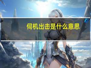 伺机出击是什么意思
