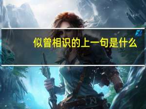似曾相识的上一句是什么