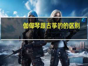 伽倻琴跟古筝的的区别