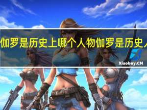 伽罗是历史上哪个人物 伽罗是历史人物吗