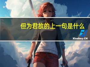 但为君故的上一句是什么