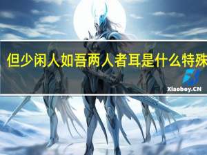 但少闲人如吾两人者耳是什么特殊句式（但少闲人于吾两人者耳是什么意思）