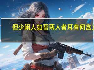 但少闲人如吾两人者耳有何含义（但少人闲人如吾两人者耳的古文翻译）