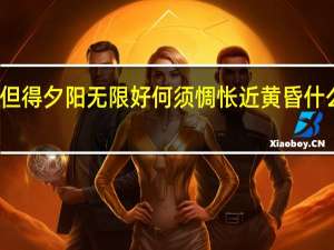 但得夕阳无限好何须惆怅近黄昏什么意思
