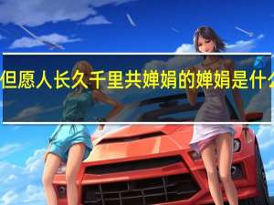 但愿人长久千里共婵娟的婵娟是什么意思