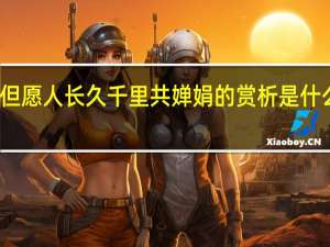 但愿人长久千里共婵娟的赏析是什么意思