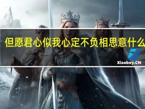 但愿君心似我心定不负相思意什么意思