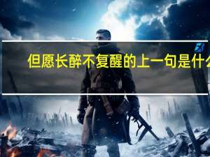 但愿长醉不复醒的上一句是什么
