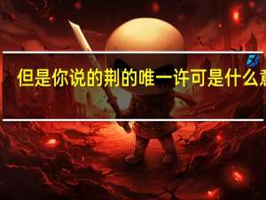 但是你说的荆的唯一许可是什么意思？