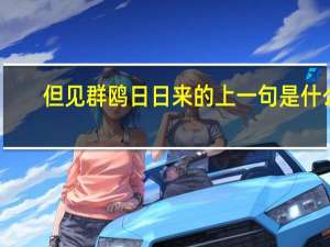 但见群鸥日日来的上一句是什么