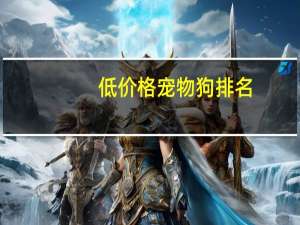 低价格宠物狗排名