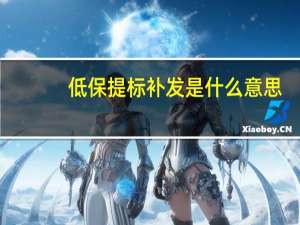 低保提标补发是什么意思