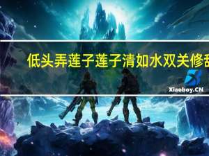 低头弄莲子莲子清如水双关修辞（低头弄）