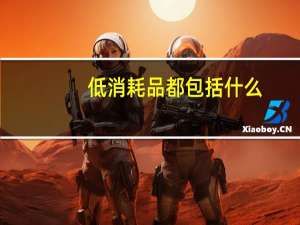 低消耗品都包括什么