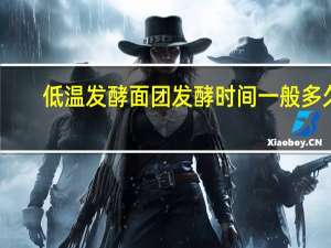 低温发酵面团发酵时间一般多久