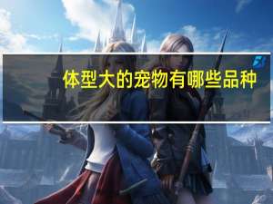 体型大的宠物有哪些品种