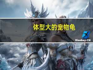 体型大的宠物龟