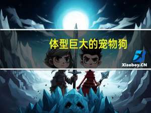体型巨大的宠物狗