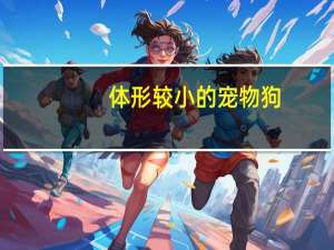 体形较小的宠物狗