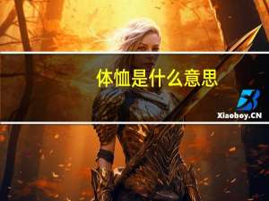体恤是什么意思