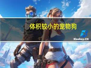 体积较小的宠物狗