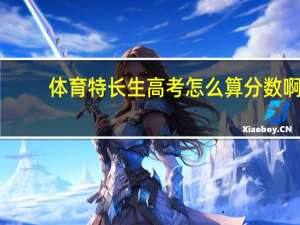 体育特长生高考怎么算分数啊