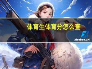 体育生体育分怎么查