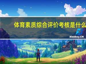 体育素质综合评价考核是什么