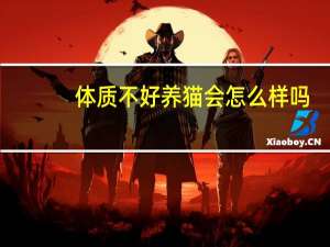 体质不好养猫会怎么样吗