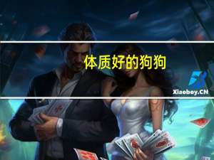 体质好的狗狗