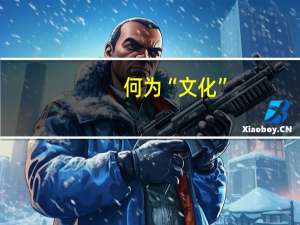 何为“文化”