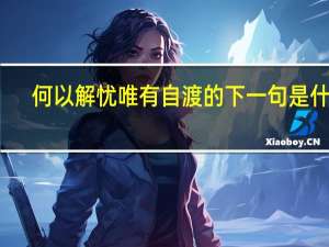 何以解忧唯有自渡的下一句是什么