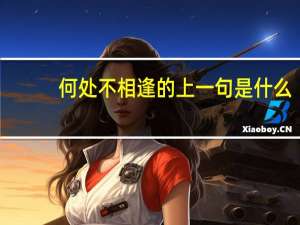 何处不相逢的上一句是什么